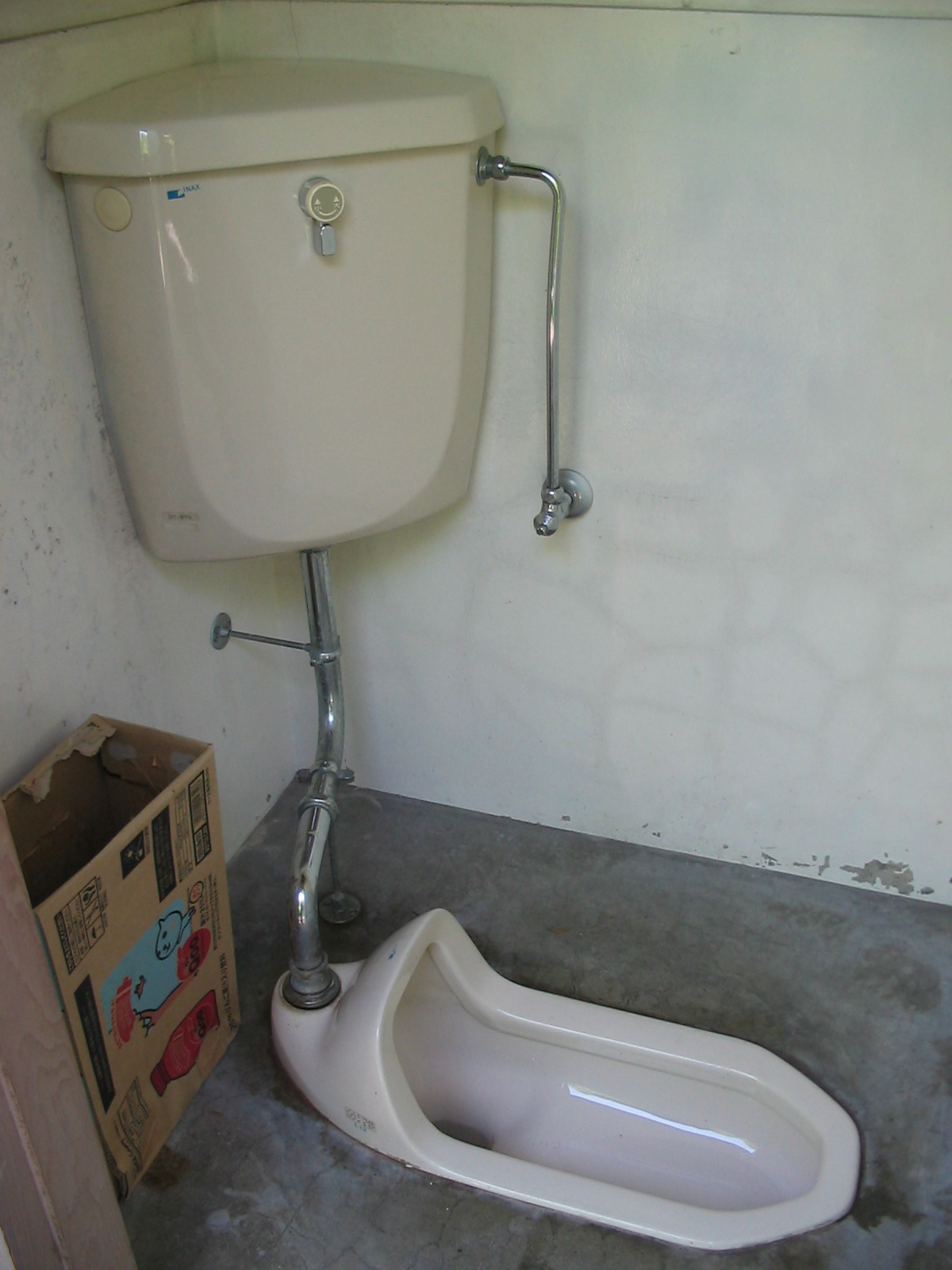 toilet with tank against the wall and bowl in the floor