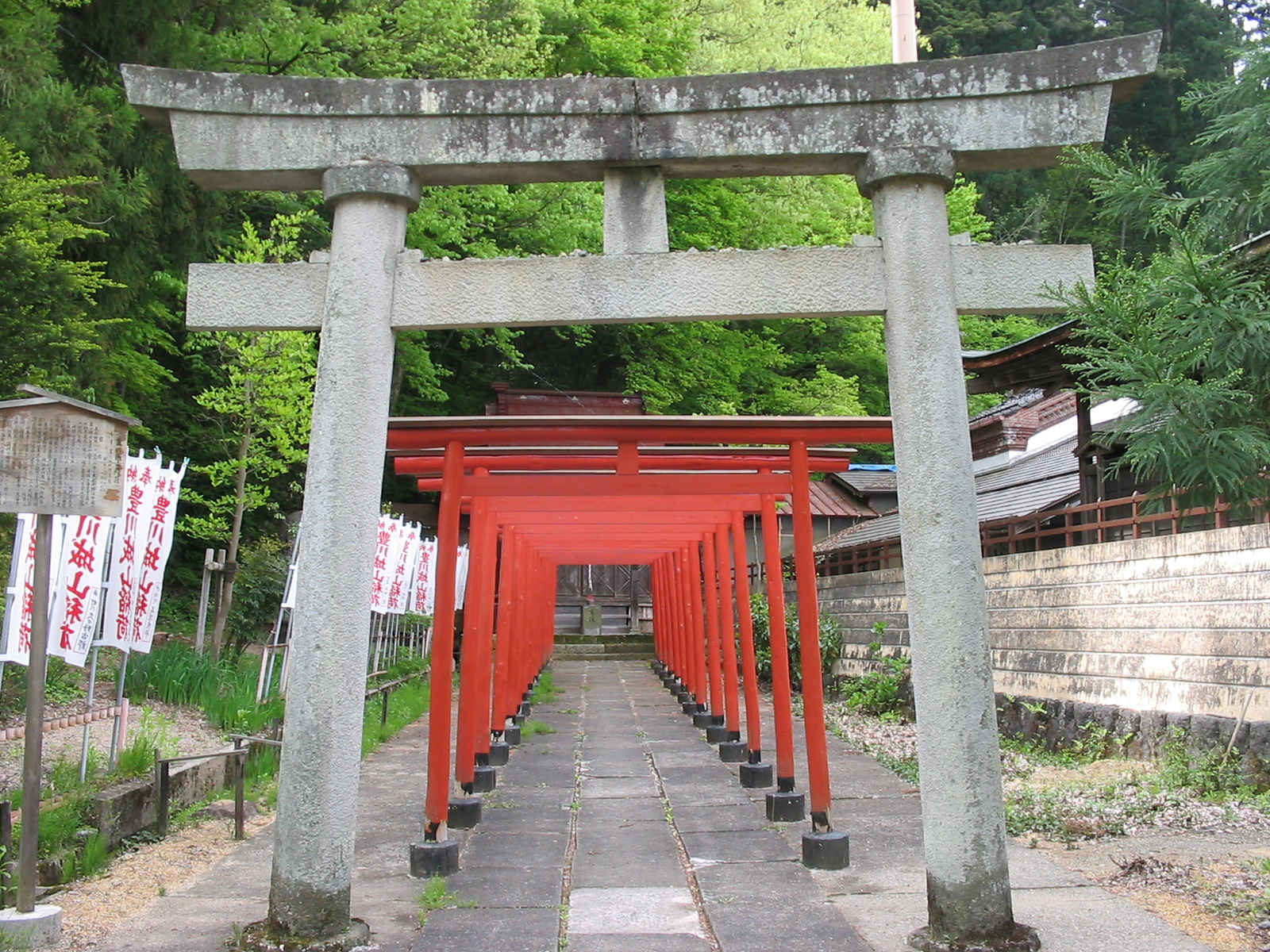 line of red torri gates